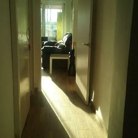 Attic Sunny